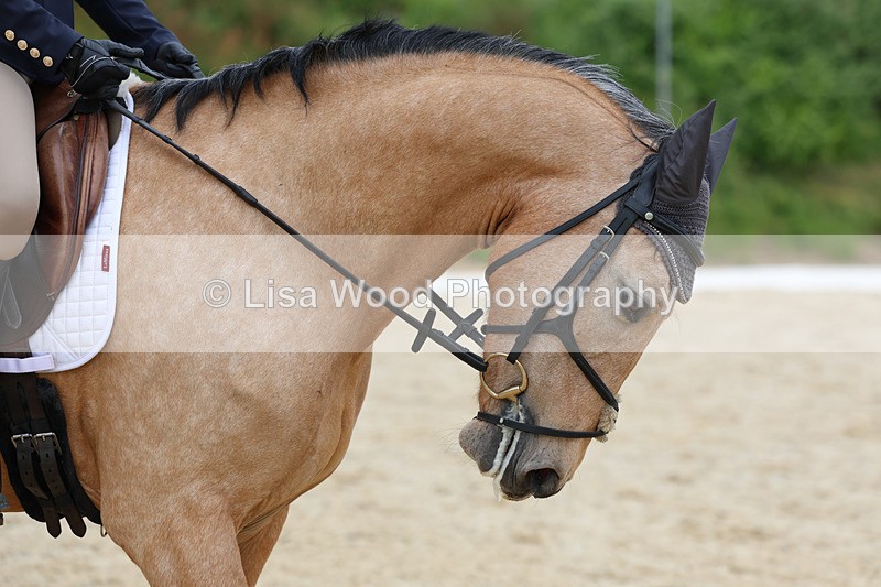 3E7A1764 - Class 3: Prelim 2 2024 Section A