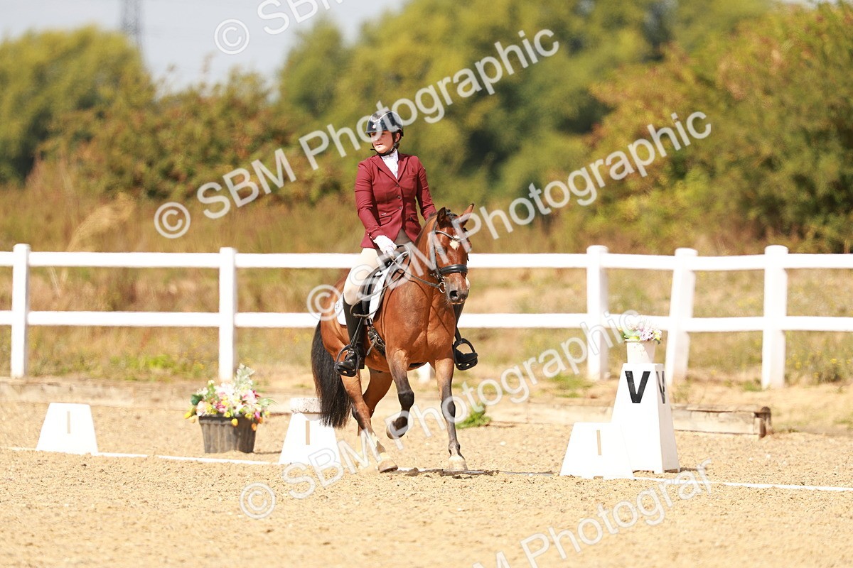 SBM_018624 - Class 9 - N5 Bronze 11.57.13.07