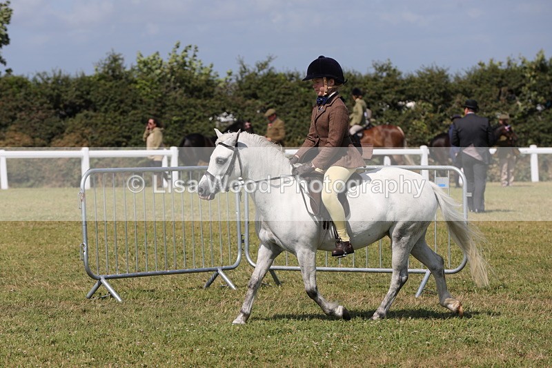 1X9A5432 - Class 37: NPS M&M First Ridden