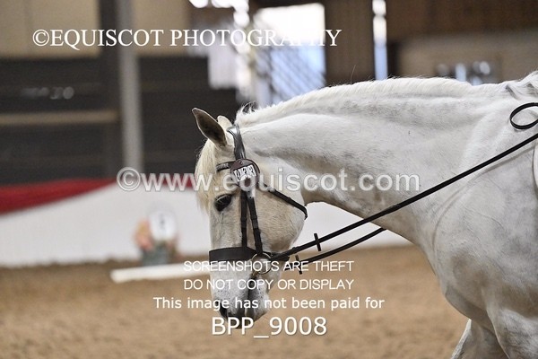 BPP_9008 - NOVICE 6