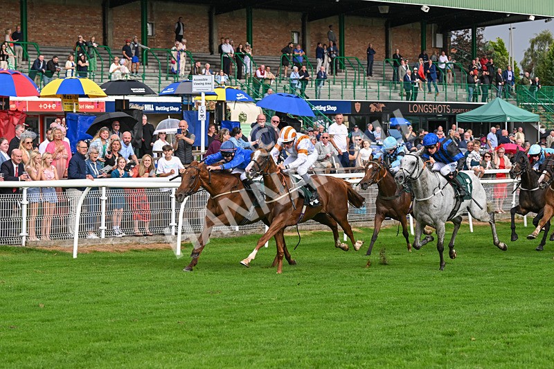 280824-Race 5-Hidden Pearl-4777 - Race 5