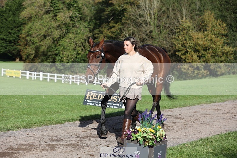 241027-100422-15671 - 511-Rosie.Doe-LOUIS