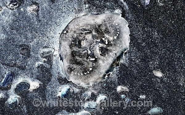 - The Sand Gallery