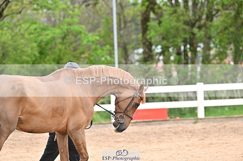 250423-160332-01917 - 4pm to 5pm