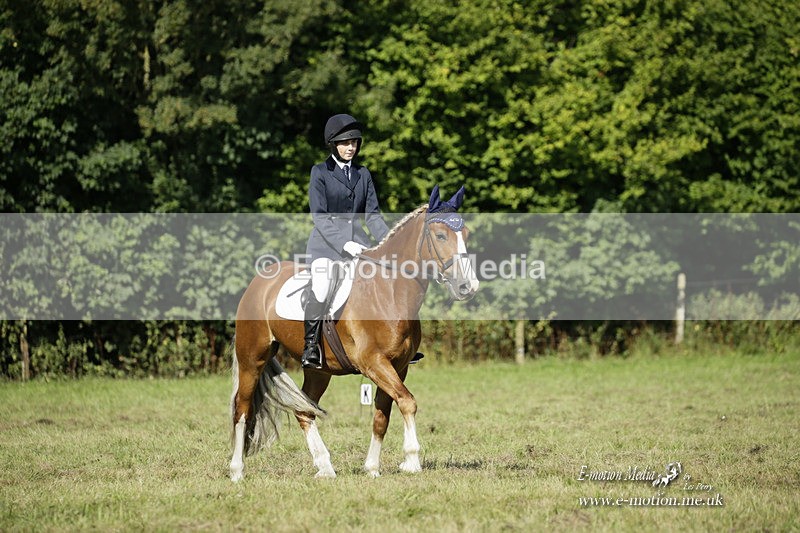 BVRC 120921 211 - Bourne Valley Riding Club UA Dressage & Show Jumping 12/09/21