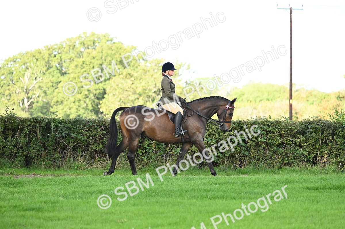 SBM_01254 - S2 - TSR Ridden Horse Showing