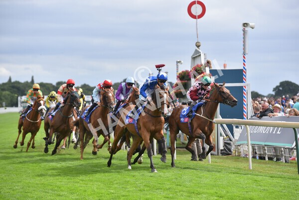 yr17082022r5-30 - Race 5 4.10pm Sky Bet Stayers Stakes