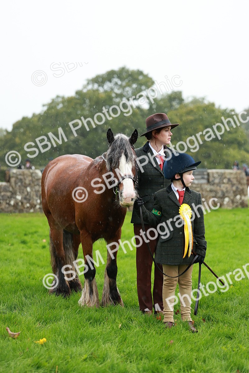 SBM_34964 - S10 - Best In Hand Horse & Pony