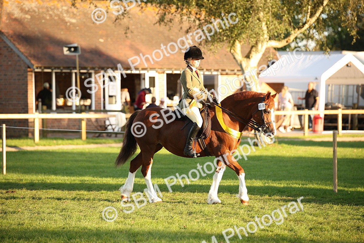 SBM_57043 - Veteran Supreme Championship