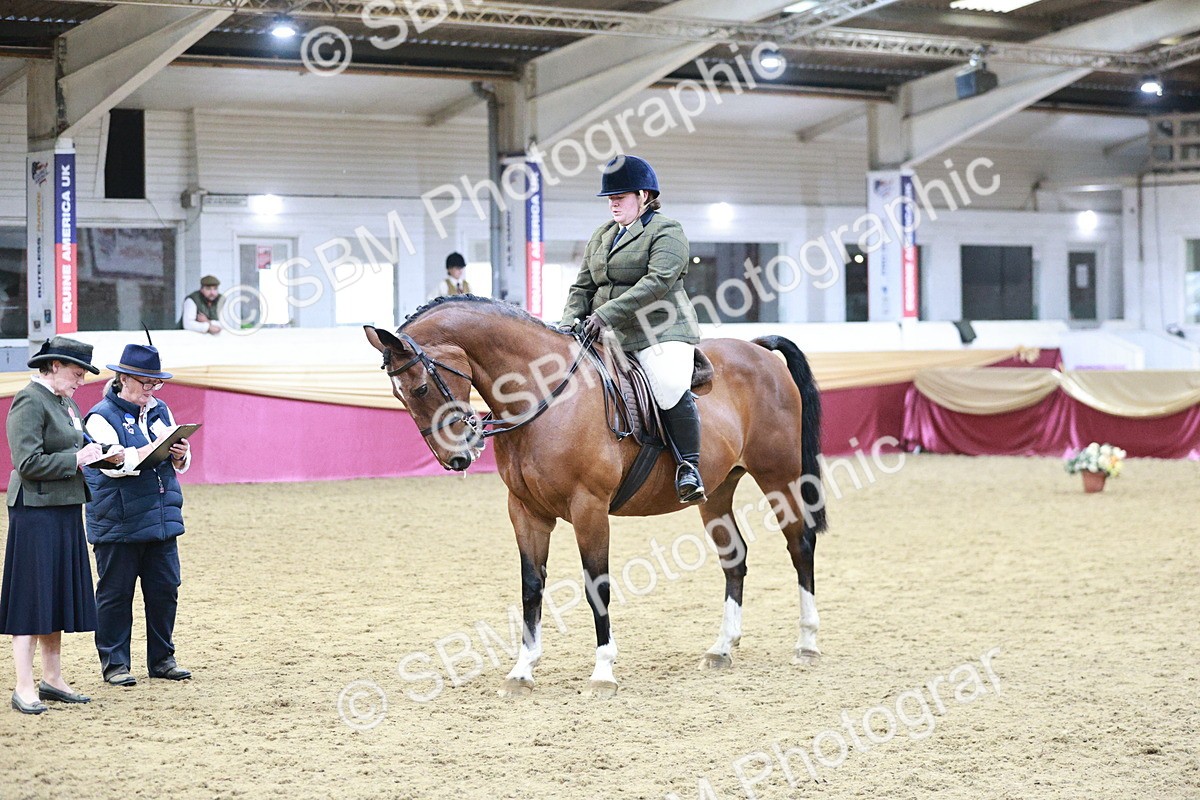 SBM_08195 - Class 11R - Regional Ridden Veteran