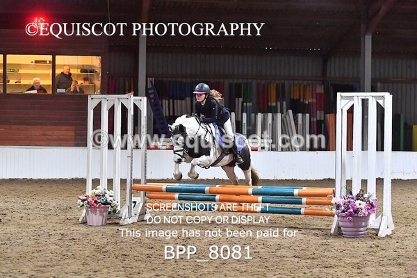 BPP_8081 - CLASS 1  Club/ Unaffiliated 60cms Open