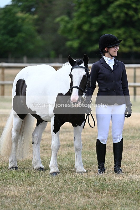 WJ7_1512 - Class 4 Prettiest Mare up to 14.2hh in hand