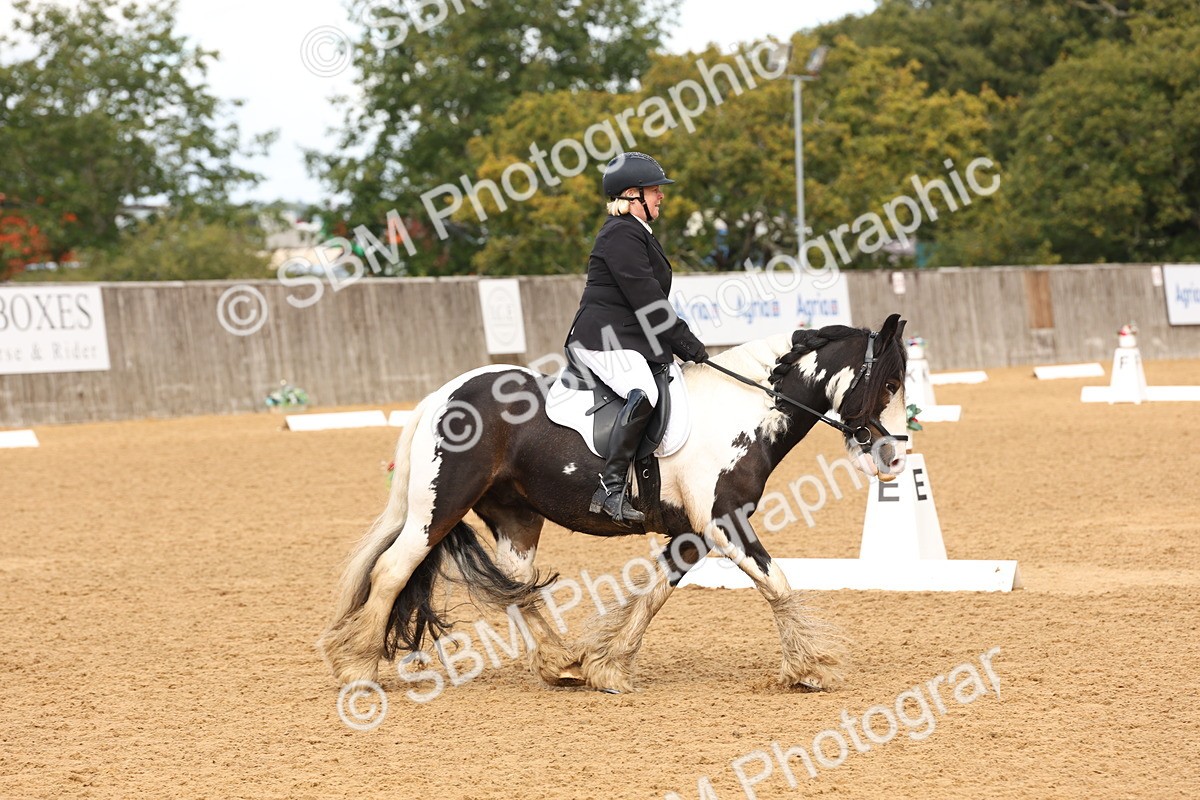 SBM_40687 - D6 - Small Tour Championship Intro 4