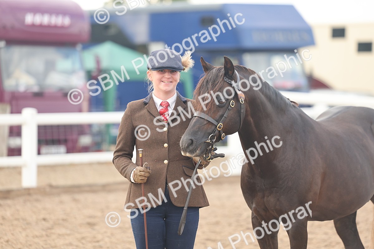 SBM_08513 - Class 29 - IH Veteran Pony