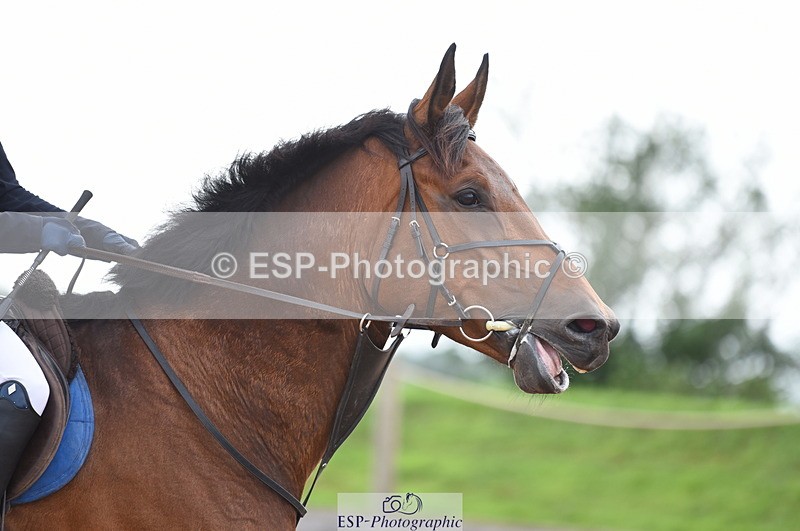 230711A-172804-00259 - 80cm