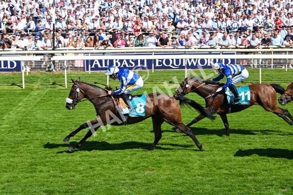 120725-Race 3-Fox Legacy-5704 - Race 3 3.10pm John Smith's Cup Handicap