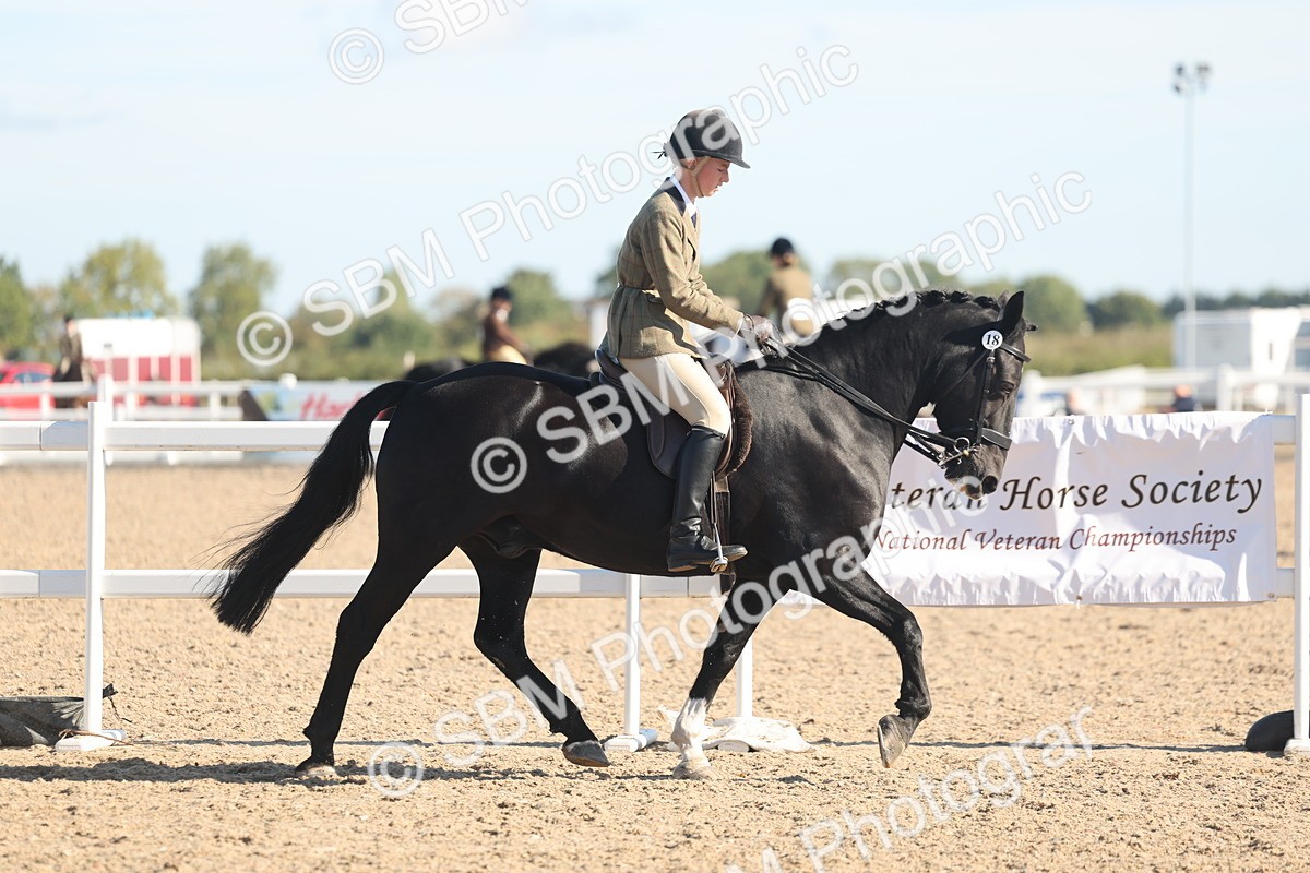 SBM_12283 - Class 304 - Ridden part Bred Horse Pony