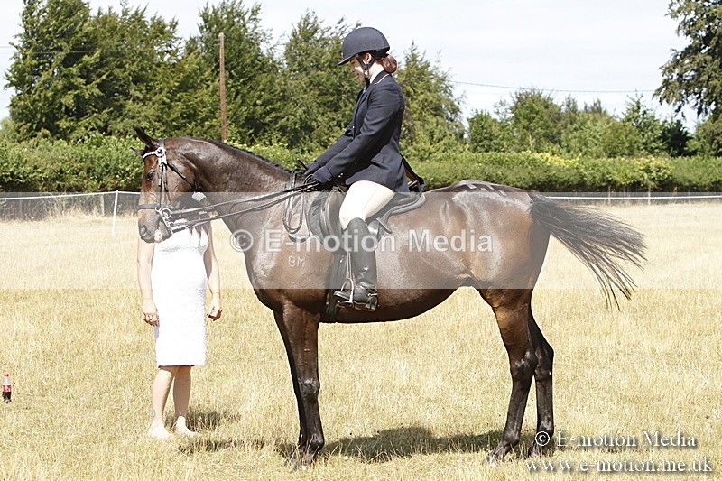 _BS_0782 - BVRC Show 2018 Ring 1