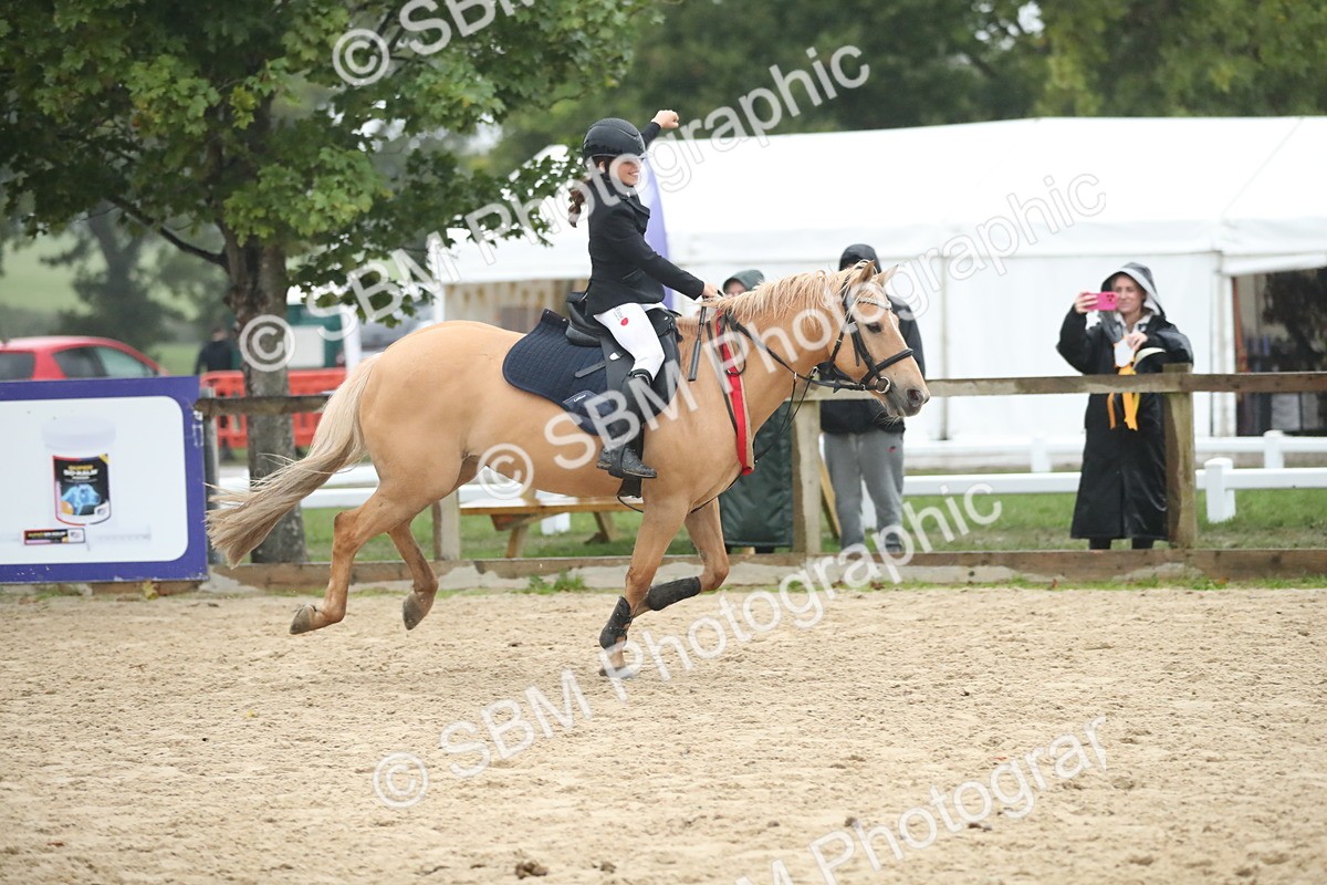 SBM_74339 - Supreme championship Junior Pony 70cm 75cm
