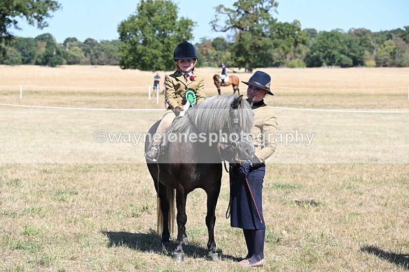 WJ6_8154 - Class 36 Lead Rein