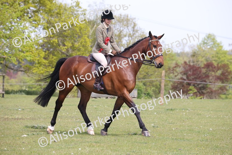 20260426-4447 - Class 34 - Best Riding Horse Over 14.2hh