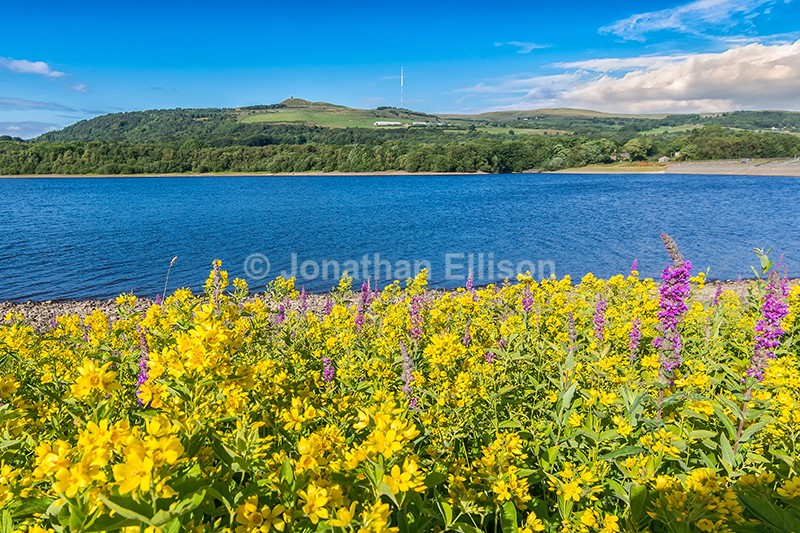 Rivington Lower Reservoir - Rivington And Surrounding Areas