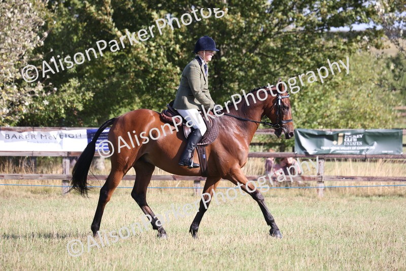 20260906-0353 - Class 14 - Ex Racehorse