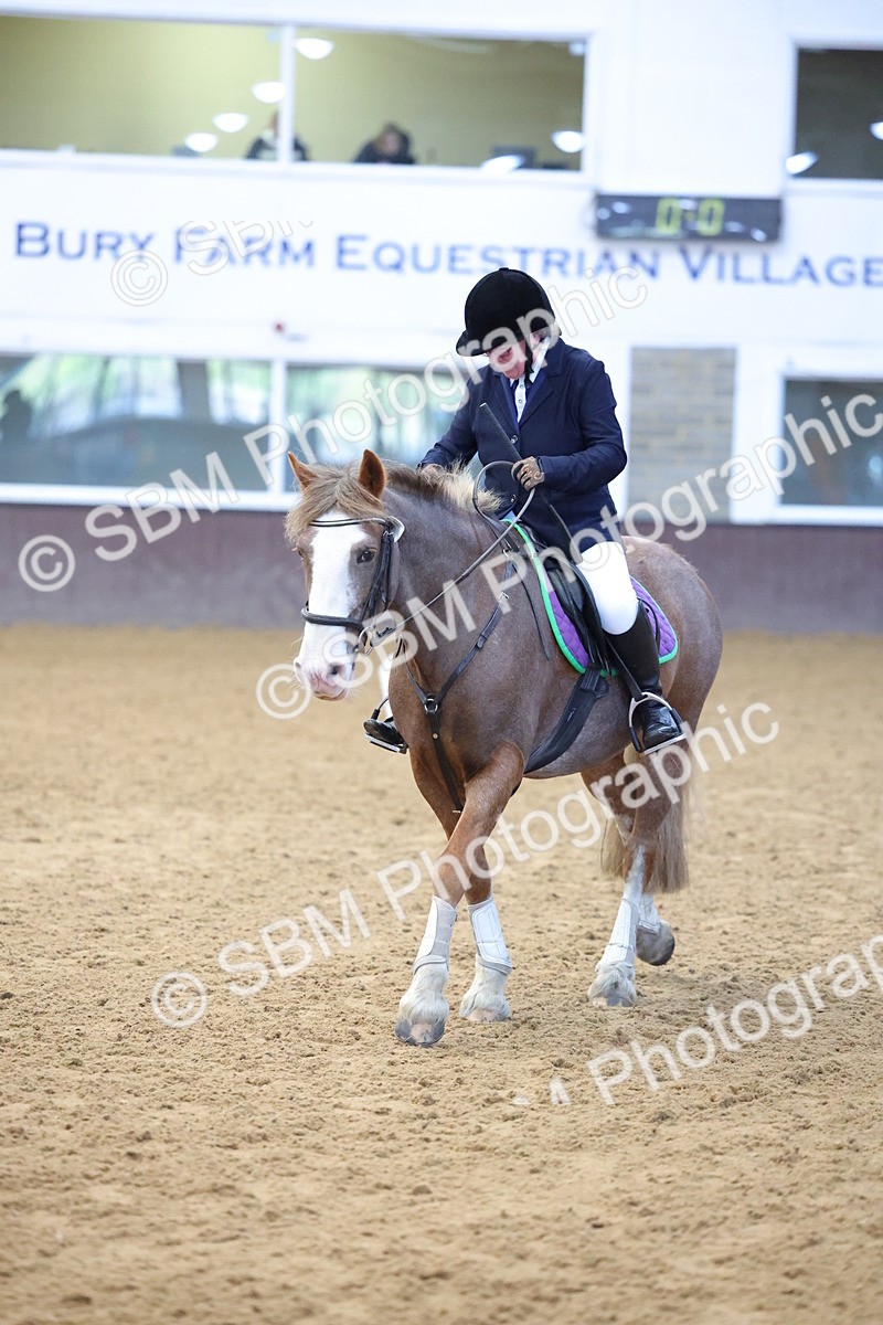 SBM_000081 - Class 1-4 - 40cm Assisted-Non Lead Rein BRC Champs