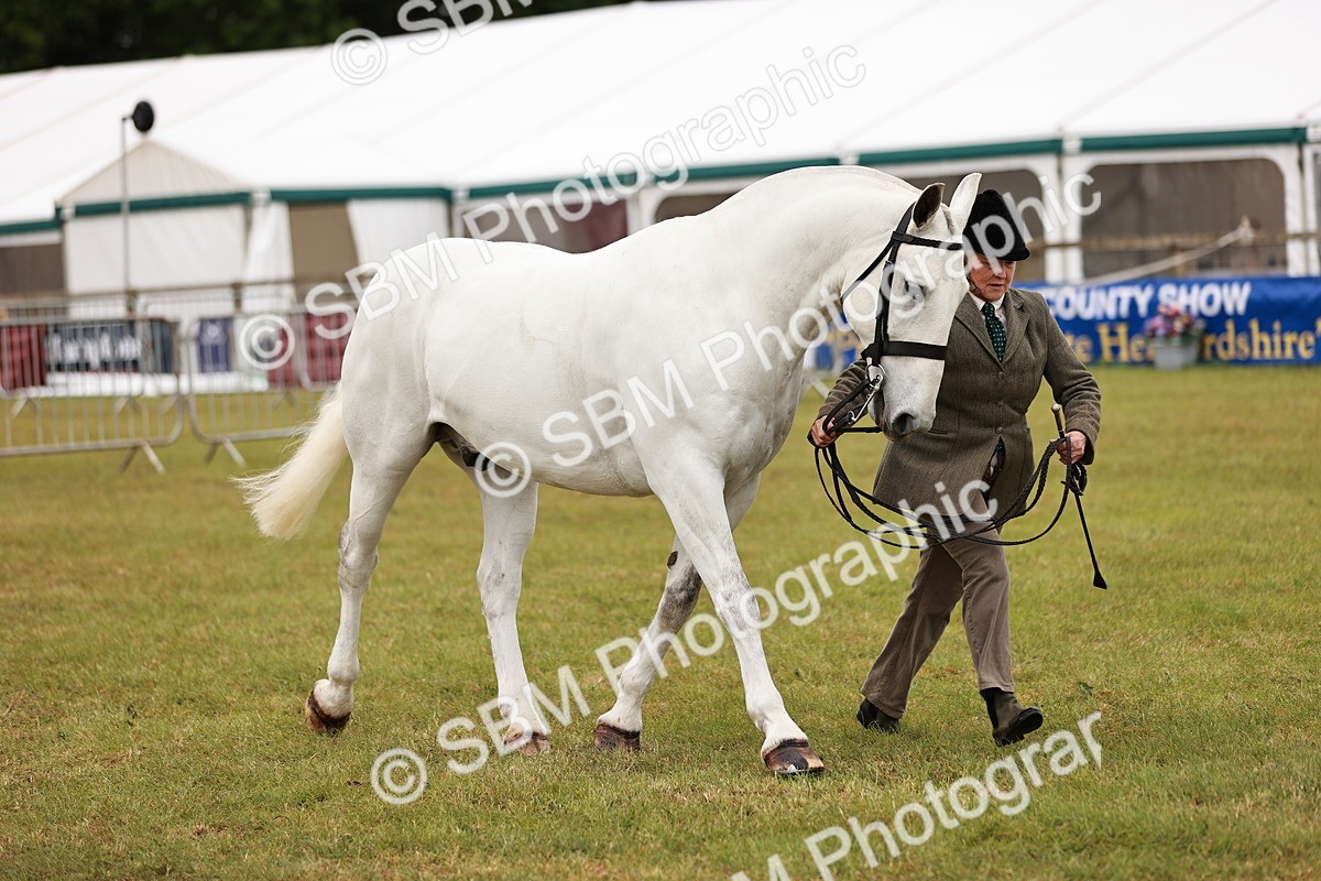SBM_13047 - Class 85-87 - RIHS Cobs