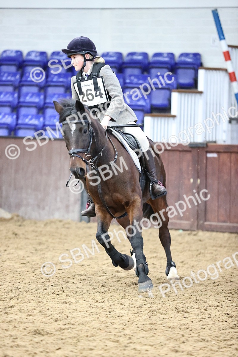 SBM_001281 - Class 4 -  Prestige Design & Workwear  60cm Area 12 Championship Qualifier