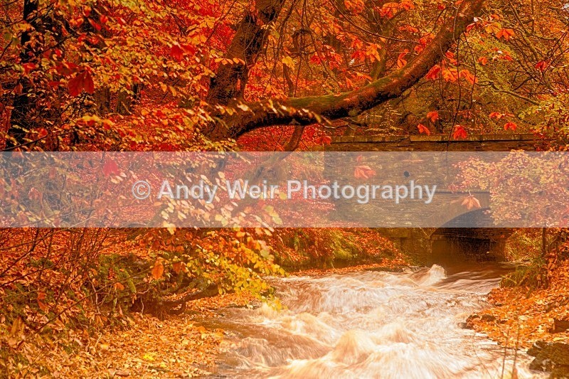 20121028-_MG_0686_HDR - England