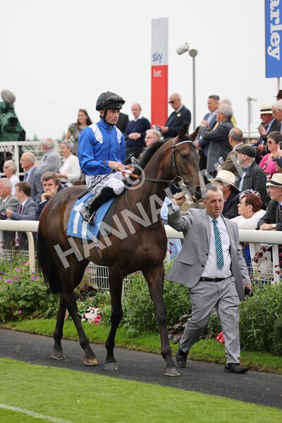 yr19082021r3-14 - Race 3 3.00pm Clipper Logistics Stakes
