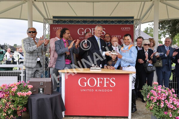 yr18082022r2-80 - Race 2 2.25pm Goffs UK Harry Beeby Premier Yearling Stakes