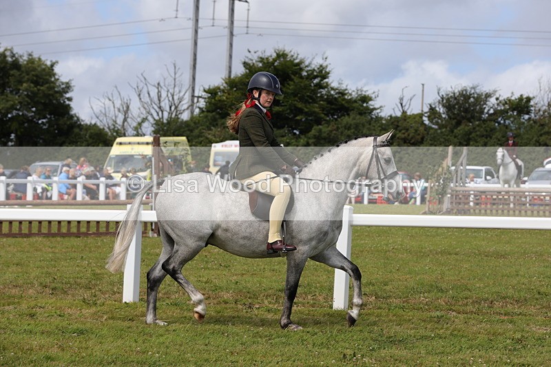 1X9A3941 - Class 32: Show Hunter Pony 153cm and under