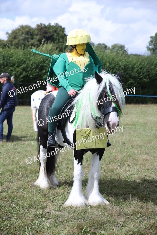 20250831-3552 - Class 26 - Fancy Dress