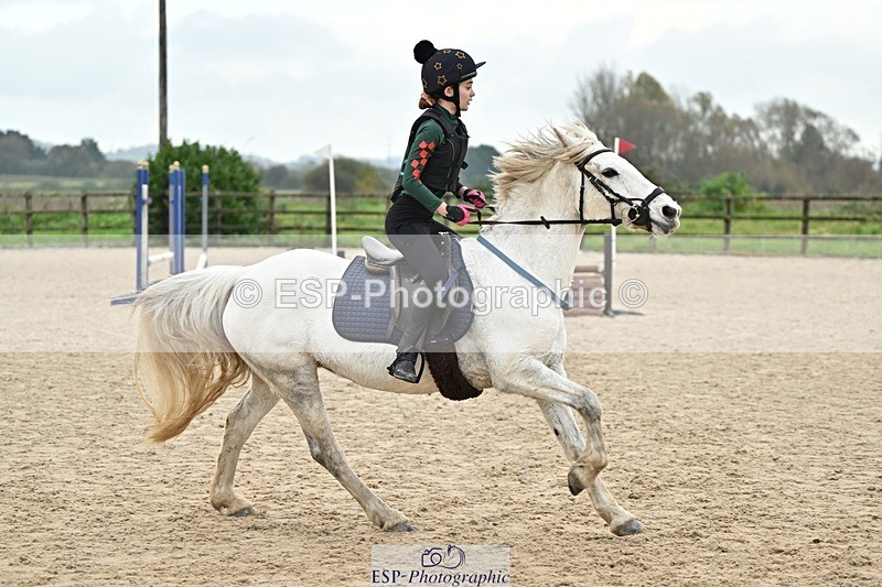 241110-140425-01027 - 60-65cm Arena Eventing
