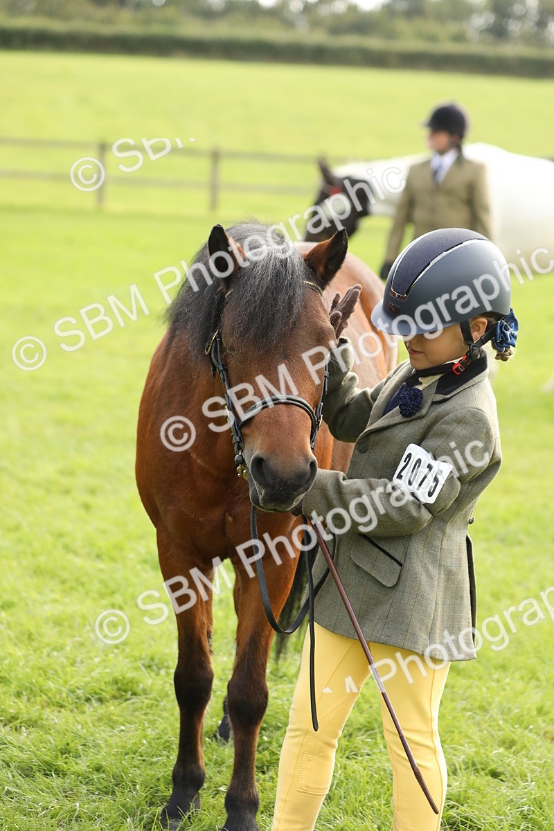 SBM_68706 - S40 - Junior Handler 9-12 Years