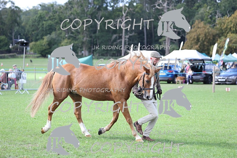 APP_3023 - Class 10a/b M&M in hand