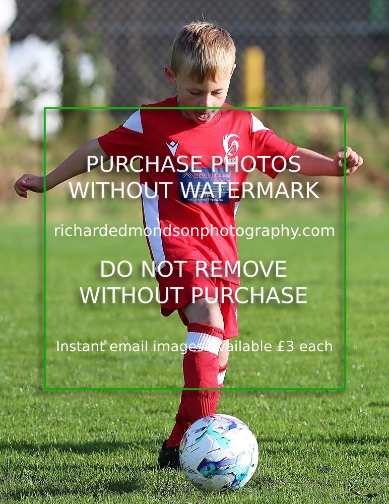 IMG_0204 - Ibis Under 7 vs Wattsfield Under 7 (28/9/24)