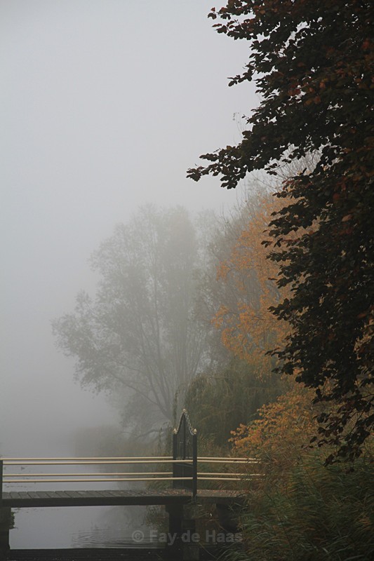  - Tranquility