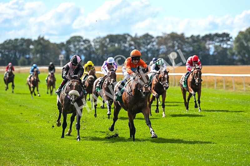 290825-Race 3-Be The Standard-8596 - Race 3