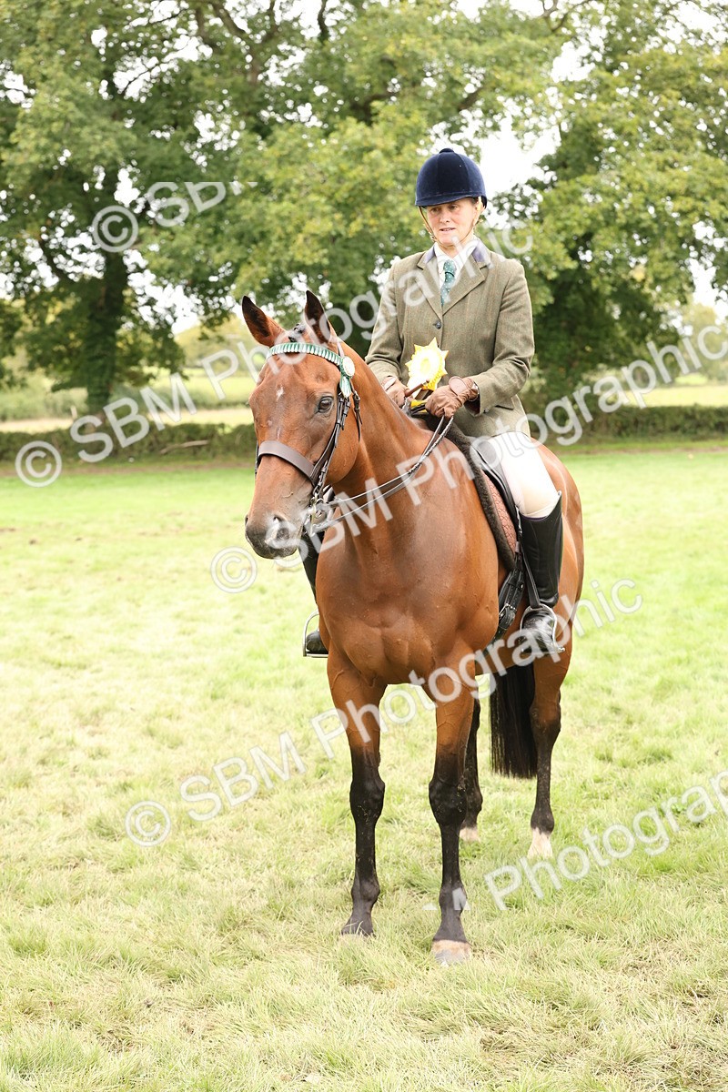SBM_64337 - S65 - Riding Horse & Hack & Thoroughbred Ridden