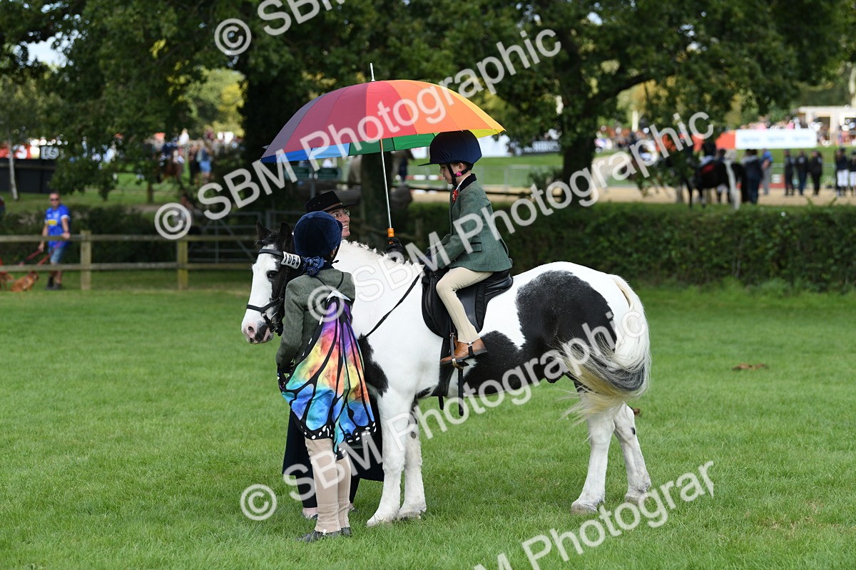 SBM_47001 - S12 - Family Horse & Pony