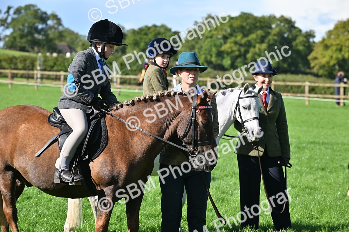 SBM_37449 - S18 - Novice & Newcomer Lead Rein Pony