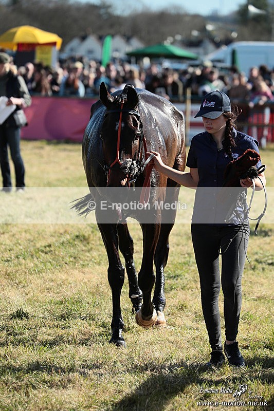 PtP 060426 579 - Paxford Races North Cotswold Easter Mon 06/04/26