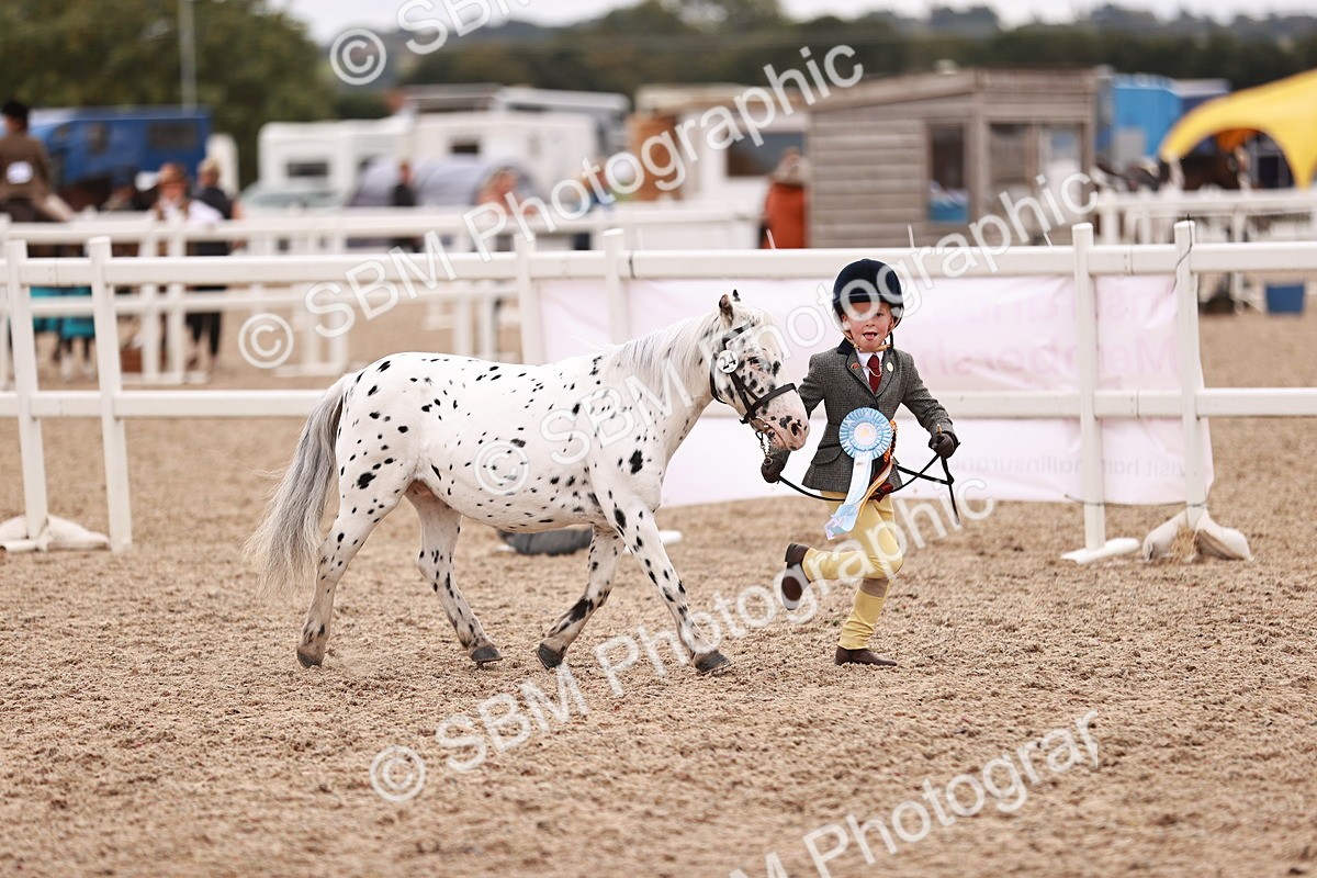SBM_18641 - Class 421 - Childs Best Friend - Jnr