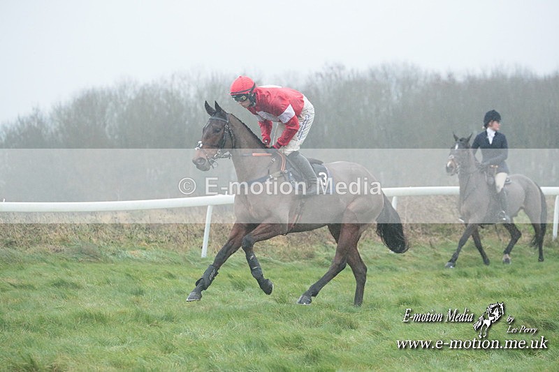 PtP 101223 373 - New Forest Hounds PtP Larkhill 10/12/23