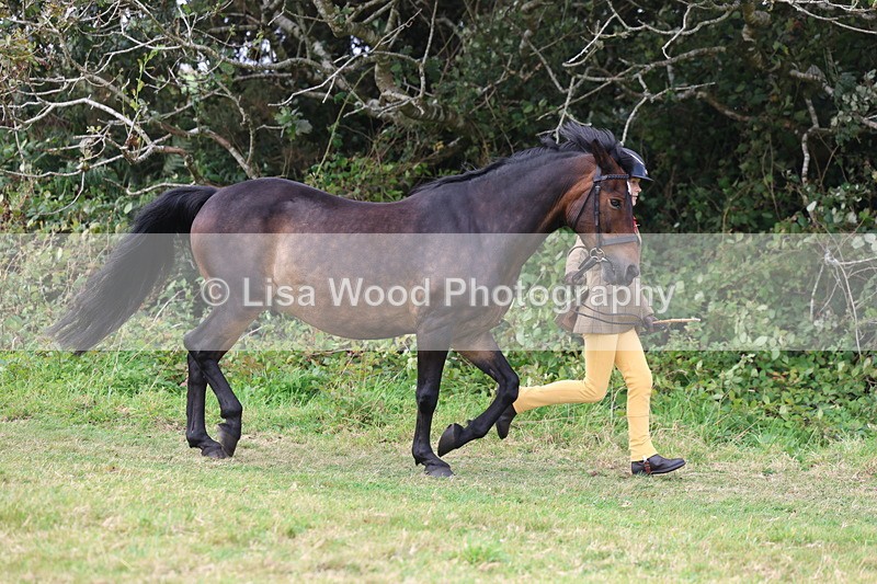 3E7A5286 - Class 18: Veteran in Hand