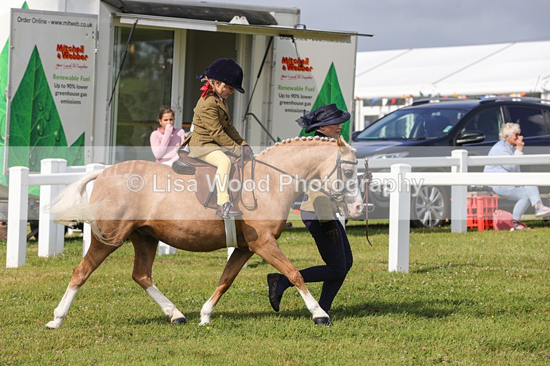 1X9A3580 - Class 29: Lead Rein SP/SHP