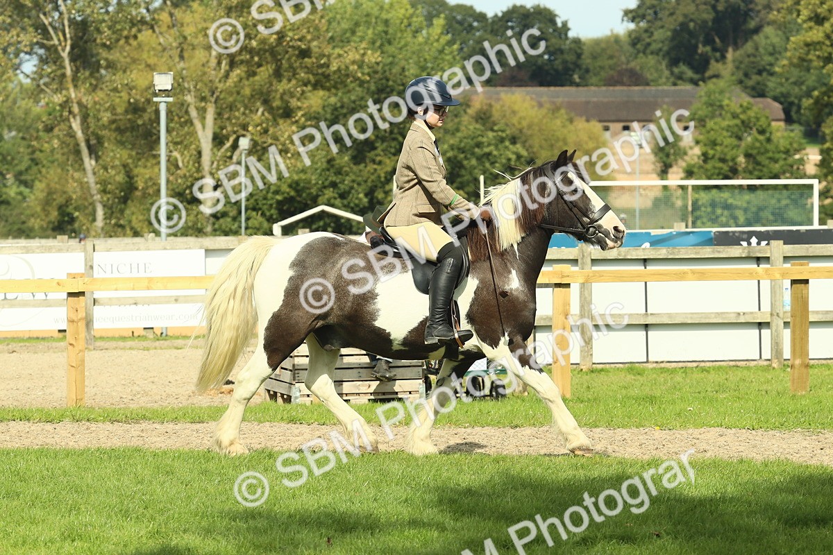 SBM_67519 - S56 - Coloured Pony Ridden